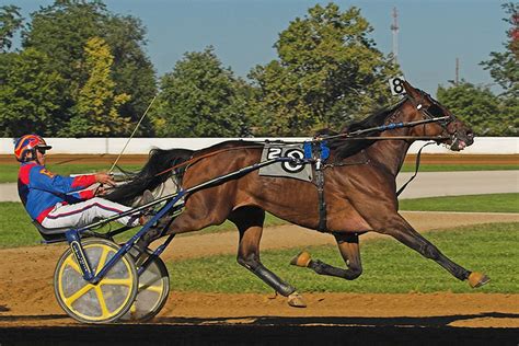 harness racing odds|Iba pa.